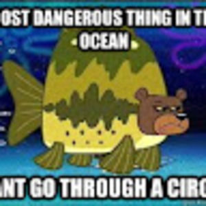 Meet your Posher, Olive